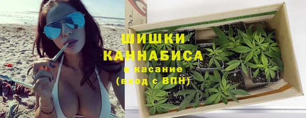 гидропоника Богданович
